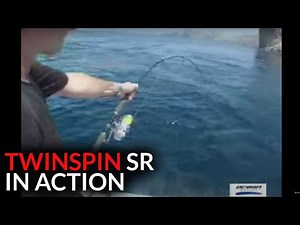 Accurate TwinSpin SR 12 in ACTION