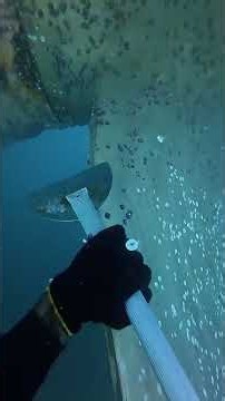 🌊 What does it take to clean barnacles off an offshore oil rig?