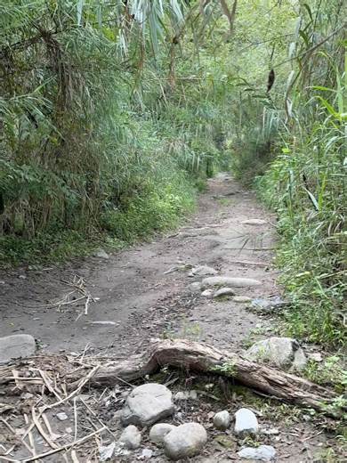 187K views · 15K reactions | Sergio Ramos on Reels | Facebook