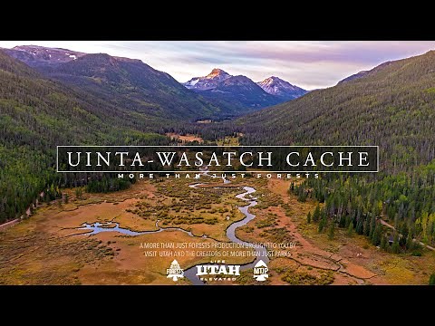 UINTA WASATCH CACHE National Forest 8K Utah (Visually Stunning 3min Tour)