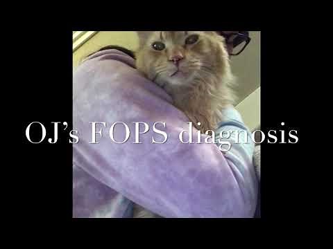Feline Orofacial Pain Syndrome (FOPS)