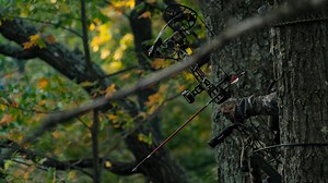 19K views · 206 reactions | Nearly all great rut stands have one thing in common... | Whitetail Habitat Solutions, LLC | Facebook