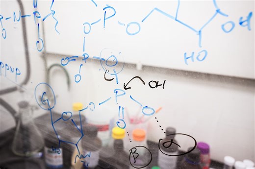 Literature Reviews in the Sciences | UW-Madison Libraries