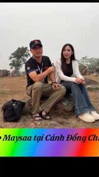 Gặp Maysaa tại Cánh Đồng Chum #tltv #tintuc #maysaa #cogailao