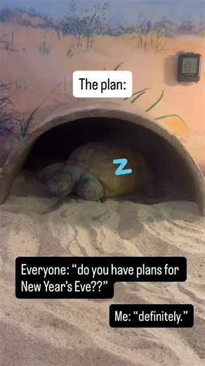 It might not look like it, but this is a video and not a photo! Gus can be quite still sometimes. Gopher tortoises spend about 80% of their time in their burrows. This could be sleeping, hibernating, or cooling off in the summer heat. Gopher tortoises are found in Florida, Georgia, Mississippi, Alabama, Louisiana, and part of South Carolina. Gus was brought to our Museum in Nova Scotia in the 1940s. It was a different time and he is literally irreplaceable. So if he wants to sleep for New Year’s