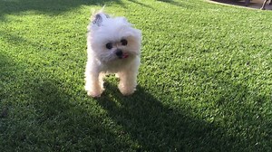 Yes, I'm a bit quirky. | Norbert