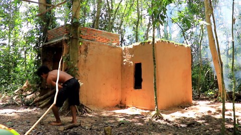 Helping a Mini Pig in a Hole & Building a House for It