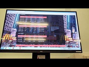 Edumundo International Business & Management Simulation Guide