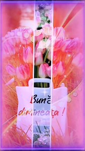 60K views · 2.4K reactions | Îți simt în această dimineață inima și sufletul iubitor. Fie ca această zi să-ți dea putere pentru noi realizări și noi senzații. Să zbori, dragul meu prieten, fericit în lumea sentimentelor frumoase și sincere! Bună dimineața și bine ai întrat într-o noua zi de miercuri ! Fiți sănătoși, fericiți și iubiți ! | Suflet de floare | Facebook