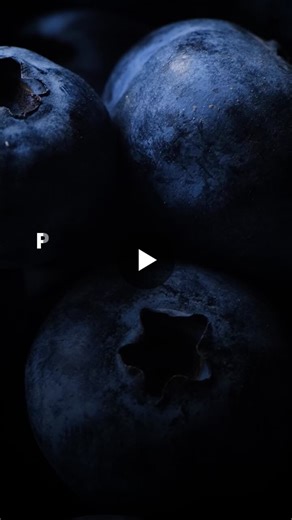 Blueberry Farming in India: Tips and Tricks | Sheel Biotech Limited posted on the topic | LinkedIn