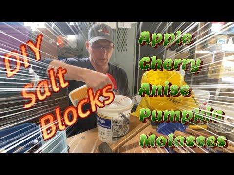 DIY Flavored Salt Blocks Cheap and Easy #deerhunting #wildlife #trailcam