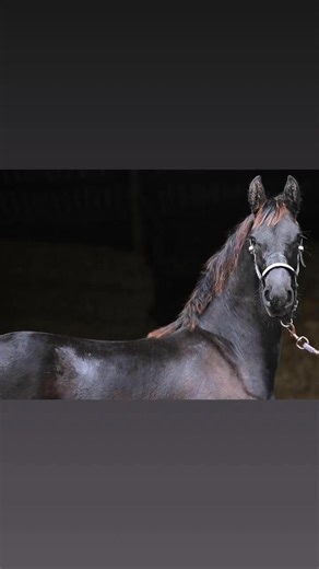 Sandra Imhoff on Reels