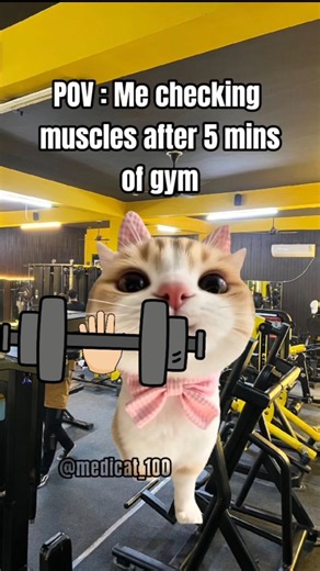Gym life 😎 #gym #workout #funnycatches #foryou #cat #funny #memes #relatable #viral #views