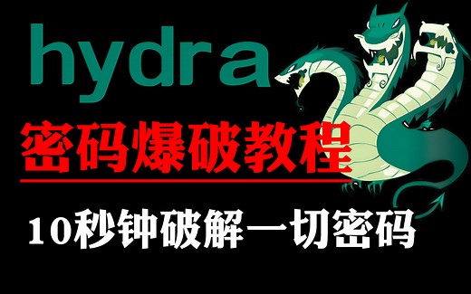 【Hydra九头蛇】10秒钟破解一切账号密码，Hydra傻瓜教程（附安装包&字典/hydra使用教程/hydra九头蛇/hydra能爆破手机密码吗）