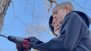 Students at Riverview Middle School tap maple trees