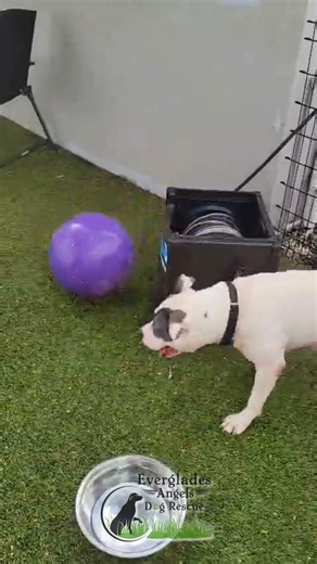 1.1K views · 119 reactions |  If Adele could text you, here’s what...