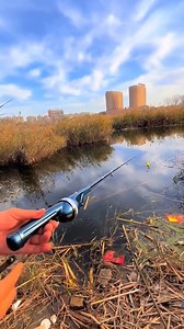 🎣 Fish Anywhere, Anytime! Meet the Foldable & Portable Integrated Fishing Rod — your perfect fishing companion for travel and adventure. ✅ Compact & lightweight design ✅ Easy to fold and carry ✅ Durable materials for long-lasting use ✅ Ready to fish in seconds! https://www.fishinggearstore.shop/products/foldable-and-portable-integrated-fishing-rod #FoldableFishingRod #PortableRod #TravelFishingGear #FishingOnTheGo #FishingGear #AnglerLife #CompactFishingRod #FishingAdventure #FishingAddict #Fis