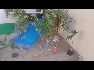 Maqueta de la Biodiversidad |Ciencias Naturales