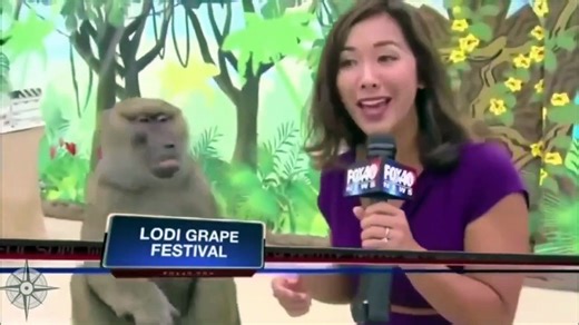 R rated news bloopers  #29 (2025)