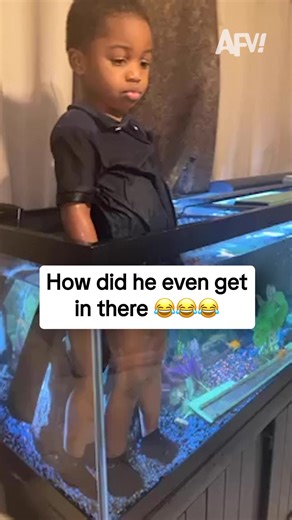 Hilarious Fish Tank Moments: How I Got Here!