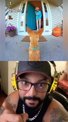 Bad Dog Knocks a House Down #funny #dog #laugh #trynottolaugh #react #comedyshorts #viral #shorts