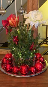 74K views · 6.8K reactions | 泥Blumen im Winterkleid泥 Heute habe ich...