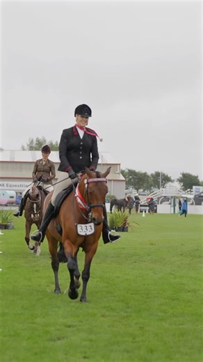 Harness Racing NZ on Instagram: "The Canterbury A&P Show was run last week and there were some outstanding standardbreds competing in both the Inhand and Ridden section. Congratulations to Chanelle Dickie and Does It On His Ear for winning Champion Inhand Standardbred and to Taylah Dolan and Michaelangelo for winning Champion Ridden Standardbred 💕 #lifeafterracing #harnessracingnz"