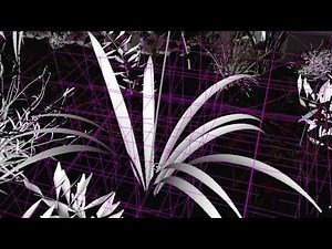 Maya Dynamics - Foliage air dynamics simple lattice-based setup