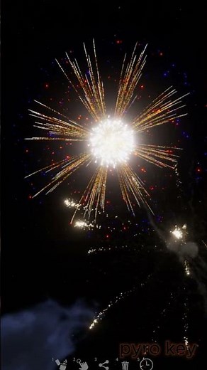 what do you call this #fireworks #pyrotechnica #pyro #fireworksmania #satisfying