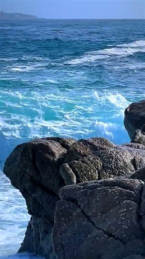 Interesting information about sharks