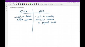 SOLVED:What is the difference between PCR and RT-PCR?Only RT-PCR produces cDNA_PCR uses a single stranded template whereas RT-PCR uses a double-stranded template Only PCR makes many copies of DNA rapidly:RT-PCR uses an RNA template whereas PCR uses a DNA template