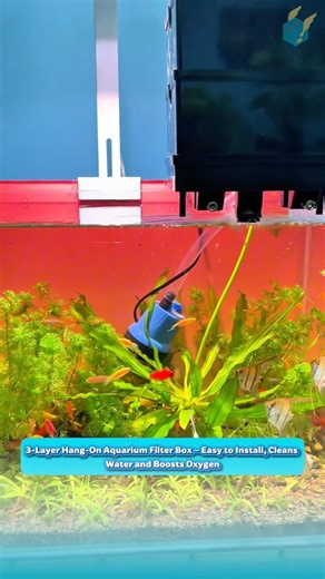 3-Layer Hang-On Aquarium Filter Box – Easy to Install, Cleans Water and Boosts Oxygen