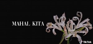 Pusong Ligaw: Explore the Lyrics and Meaning