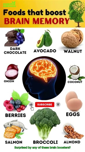 9 Foods That BOOST Memory (Don’t Miss #7)