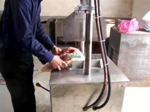 Hydraulic Pig Head Splitter Sheep Head Splitting Machine Cattle Head Frozen Carcass Splitter Machine with Brains Intact Function