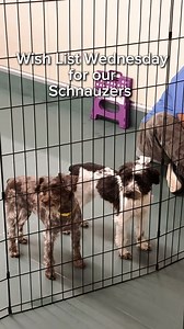 45K views · 2.3K reactions | ✨ Wish List Wednesday ✨ Today, as part...