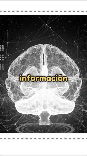 El 'Testing Effect' Recuerda el Doble Estudiando el Minimo | #study