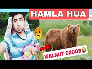 478K views · 10K reactions | Balu nai kharabi ki walnut tree ko  Khtam geiy, Share kijiye | IT. Reaction ꪜ | Facebook
