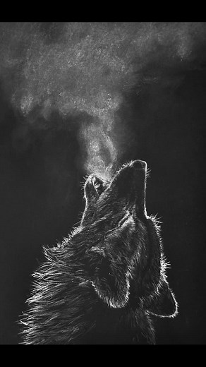 Captivating Images of Wolves in Nature Settings