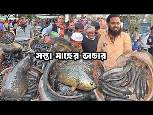 সস্তায় দেশীয় মাছের ভান্ডার কম দামে সেরা মাছ কিনুন || তুলসী খালী || cheapest fist market in bd