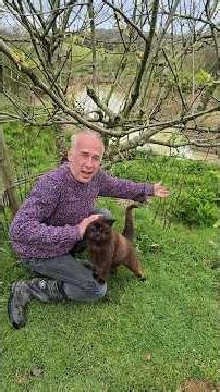 What to do with a suckering fruit tree¿ #gardening #orchard #apple #fruitrees #permaculture #cat