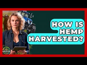 How Is Hemp Harvested? - The World of Agriculture