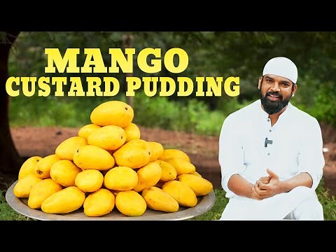 Mango Custard Pudding | Mango Custard Pudding Recipe By Nawab's Kitchen official #165