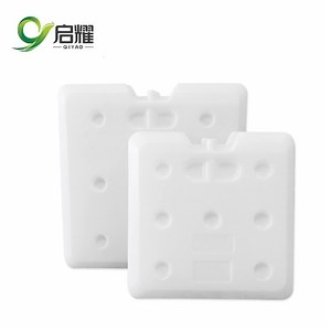 [Hot Item] Food Frozen Ice Pack Large Size Ice Packs with Logo