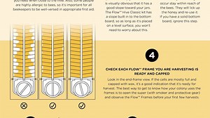 6.1K views · 251 reactions | With Flow Frames all around the world filling fast, co-inventors Stu and Cedar Anderson put together this step-by-step guide to help first-timers have a successful harvest. | Flow Hive | Facebook