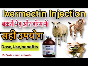 Ivermectin Injection: Complete information on correct dosage and usage in Goat–Sheep–Dog || Dr ve...