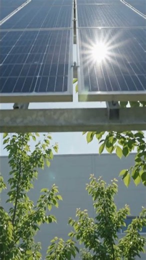 POV: You finally switched to solar #renewable #greenenergy #satisfying
