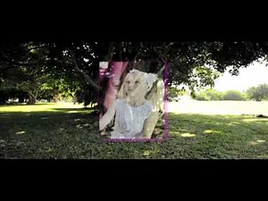 Pop Pixie Nouvelle Collection!