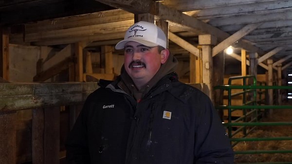 Whitehall rancher talks about challenges of calving in extreme winter conditions