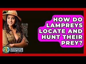 How Do Lampreys Locate And Hunt Their Prey? - Ecosystem Essentials